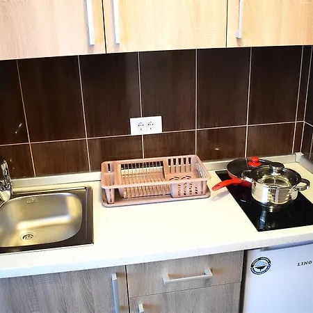 Apartman Premijer Divcibare